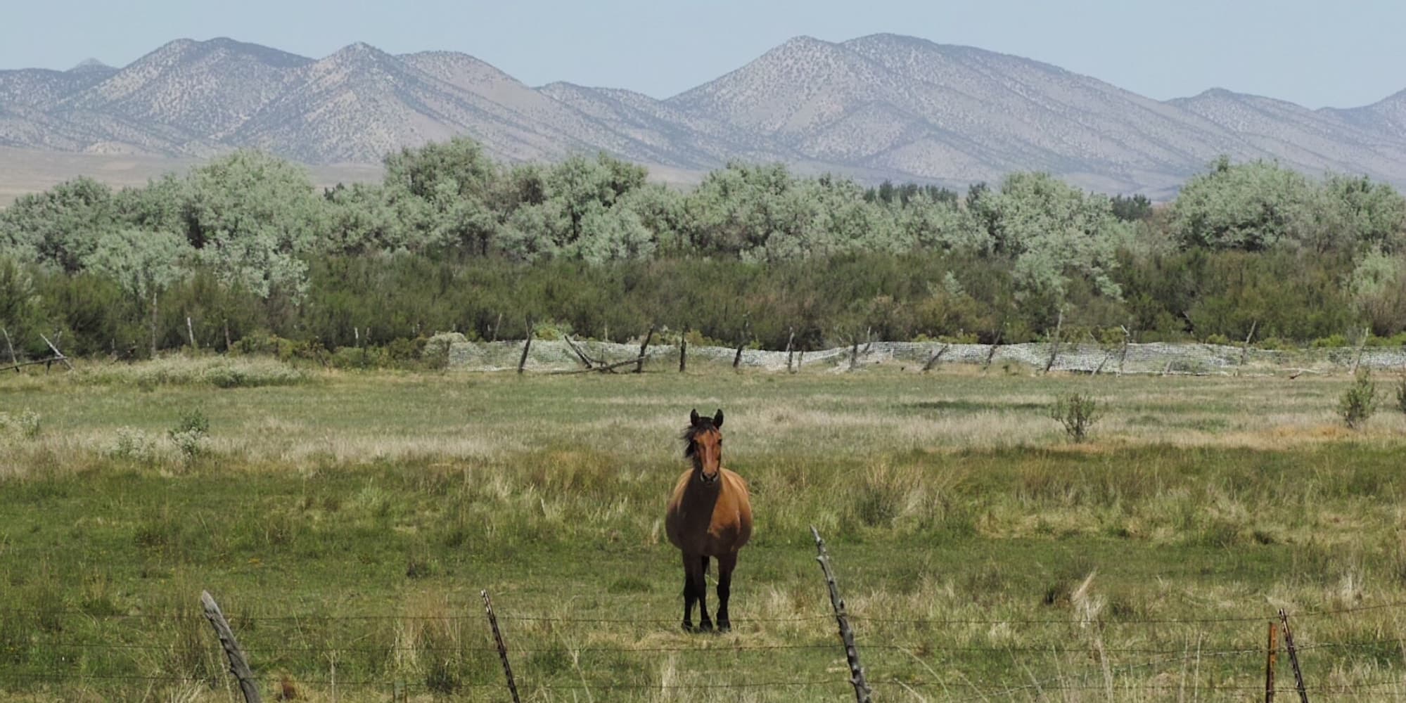 America: Road Trip Simulator screenshot