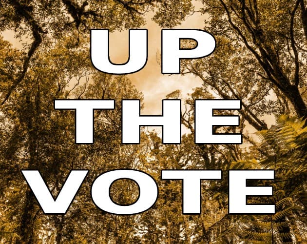 Up The Vote screenshot